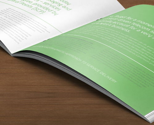 安徽創(chuàng)智圖文 合肥專業(yè)畫冊設計與圖文制作優(yōu)選